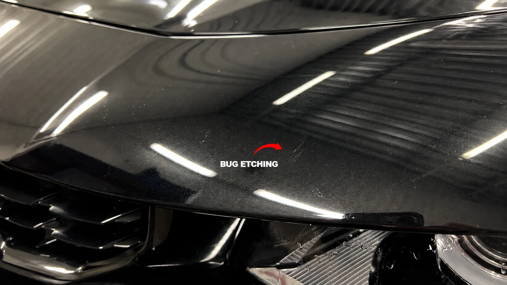 Bug Splatter Marks: Remove Residue Before Paint Damage