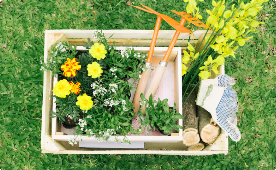 How to Build a Low-Maintenance Container Garden