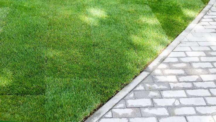5 Best Sod Installers in Olathe - Find lush lawns ready in a day